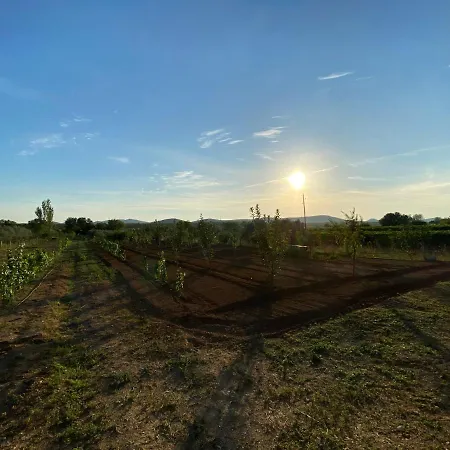 Stone Homes With Pool And Mediterranean Gardens Villa Stankovci (Zadar)