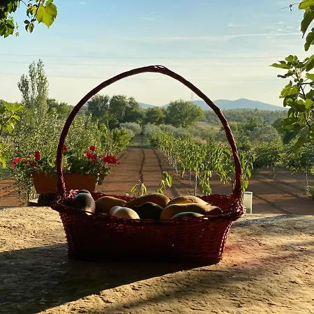 Stone Homes With Pool And Mediterranean Gardens 빌라 Stankovci (Zadar)