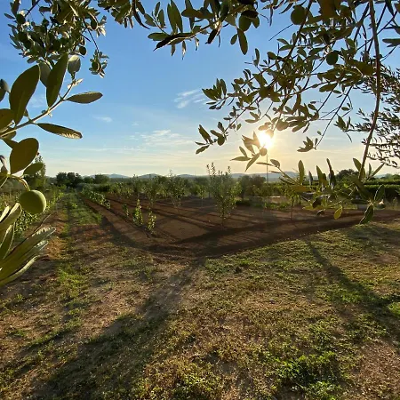 Stone Homes With Pool And Mediterranean Gardens Villa Stankovci (Zadar)