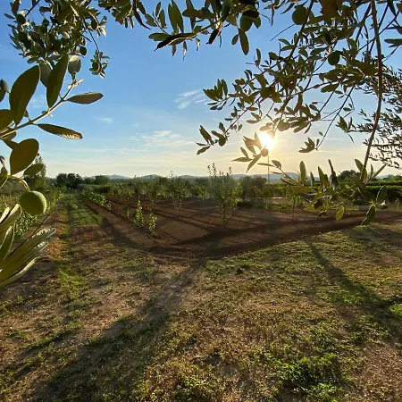 Stone Homes Stankovci With Pool And Mediterranean Gardens Villa Stankovci (Zadar)