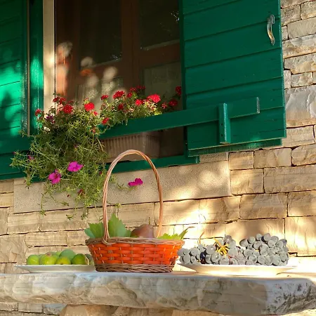 Stone Homes With Pool And Mediterranean Gardens