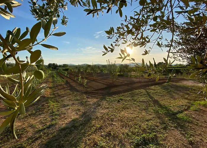 Stone Homes With Pool And Mediterranean Gardens Vila Stankovci (Zadar)