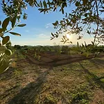 Stone Homes With Pool And Mediterranean Gardens Willa Stankovci (Zadar)