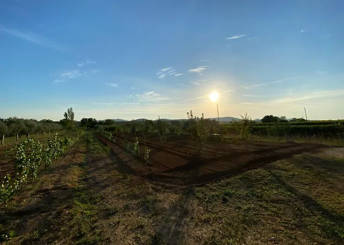 Stone Homes With Pool And Mediterranean Gardens Вилла Stankovci (Zadar)